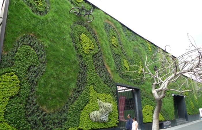jardin vertical