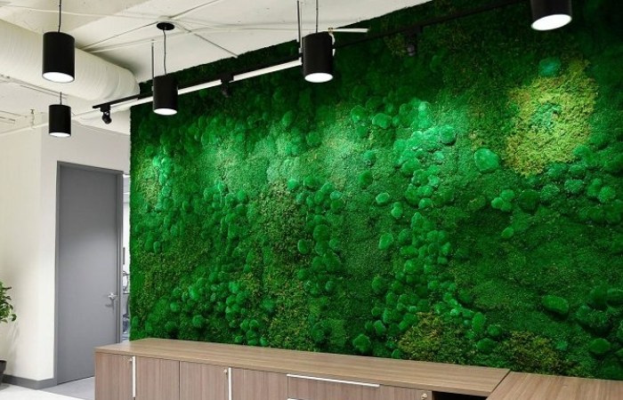 mur végétal intérieur - tableau végétal