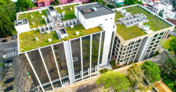 Greenskin - guide-des-toits-végétalisés-pour-entreprise