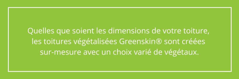 les toitures végétalisées Greenskin