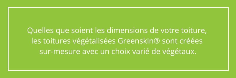 les toitures végétalisées Greenskin