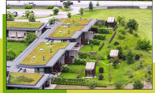amélioration de la qualité de l'air avec les toits végétalisés