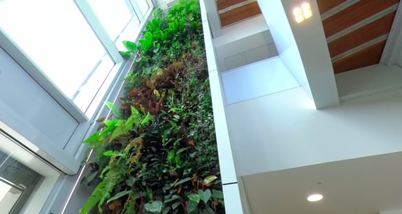 greenskin - isolation thermique entreprise (3)