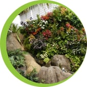 La gamme nature
