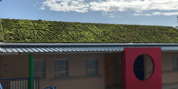 greenskin ecole la posession