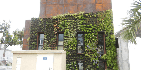 greenskin maison lucas