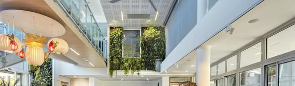 architecture batiment ecologique